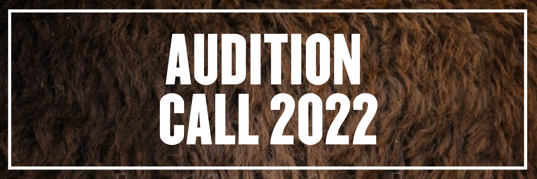Audition Call 2022